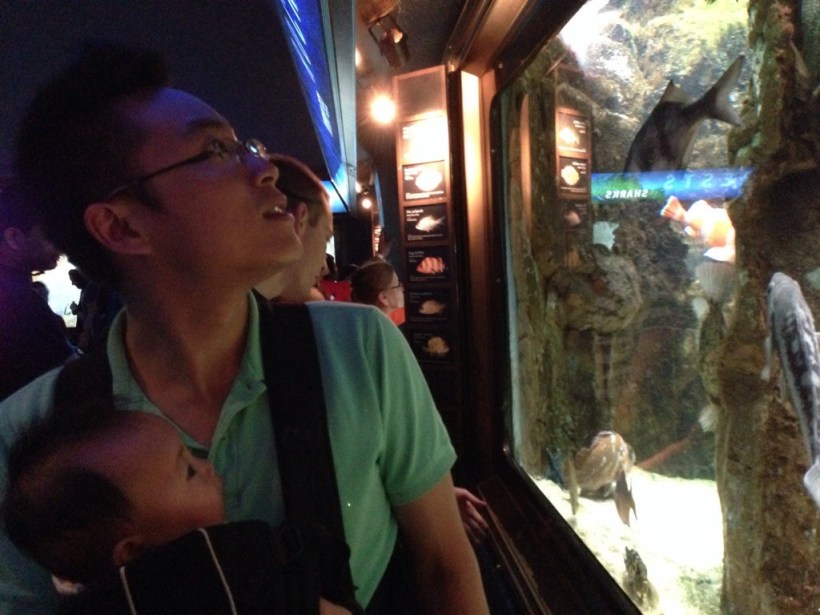 20140706-213145-77505940.jpg