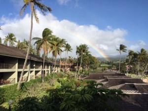 20150416 - Photo - 1