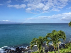 20150416 - Photo - 2