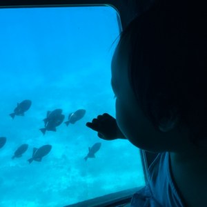 20150416 - Photo - 4