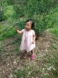 20150812 - Photo - 11