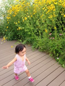 20150812 - Photo - 7