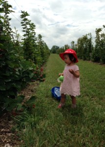 20150812 - Photo - 8