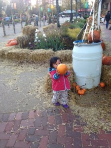 20151105 - Photo - 7