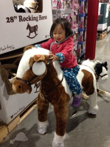 20151111 - Photo - 5